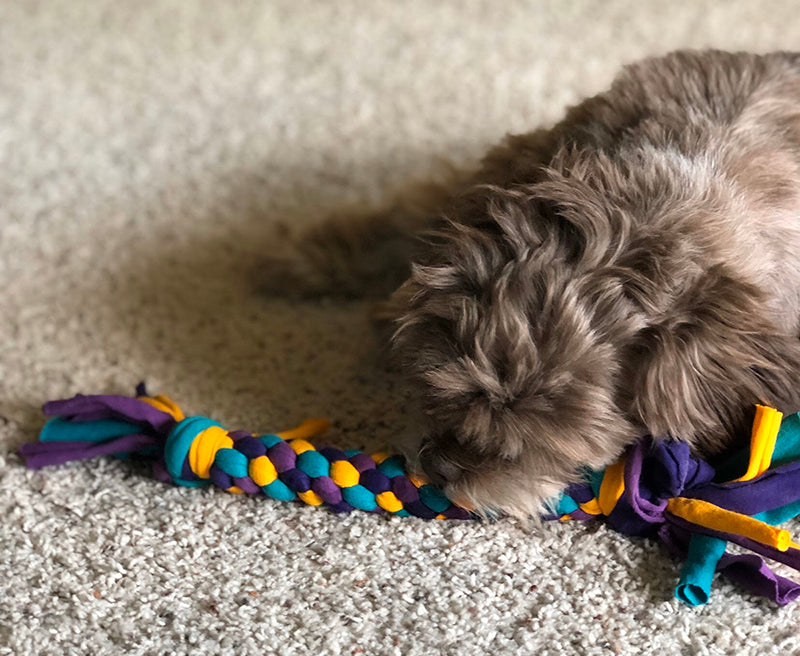 The Perfect Gift For Your Furry Friend