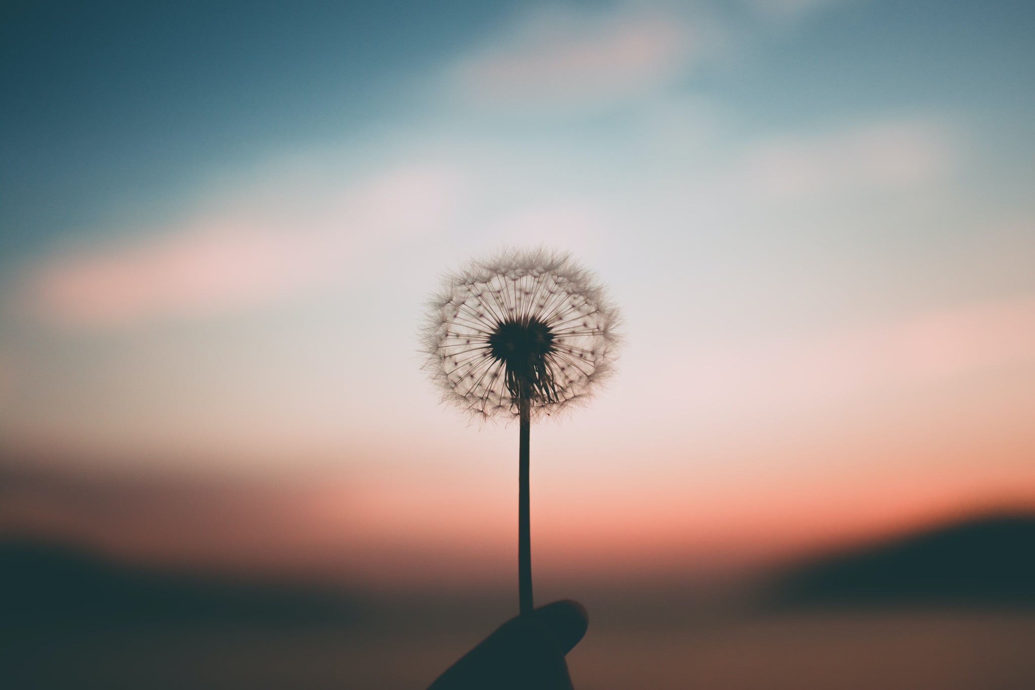 The Meaning Behind An Hour Of Freedom