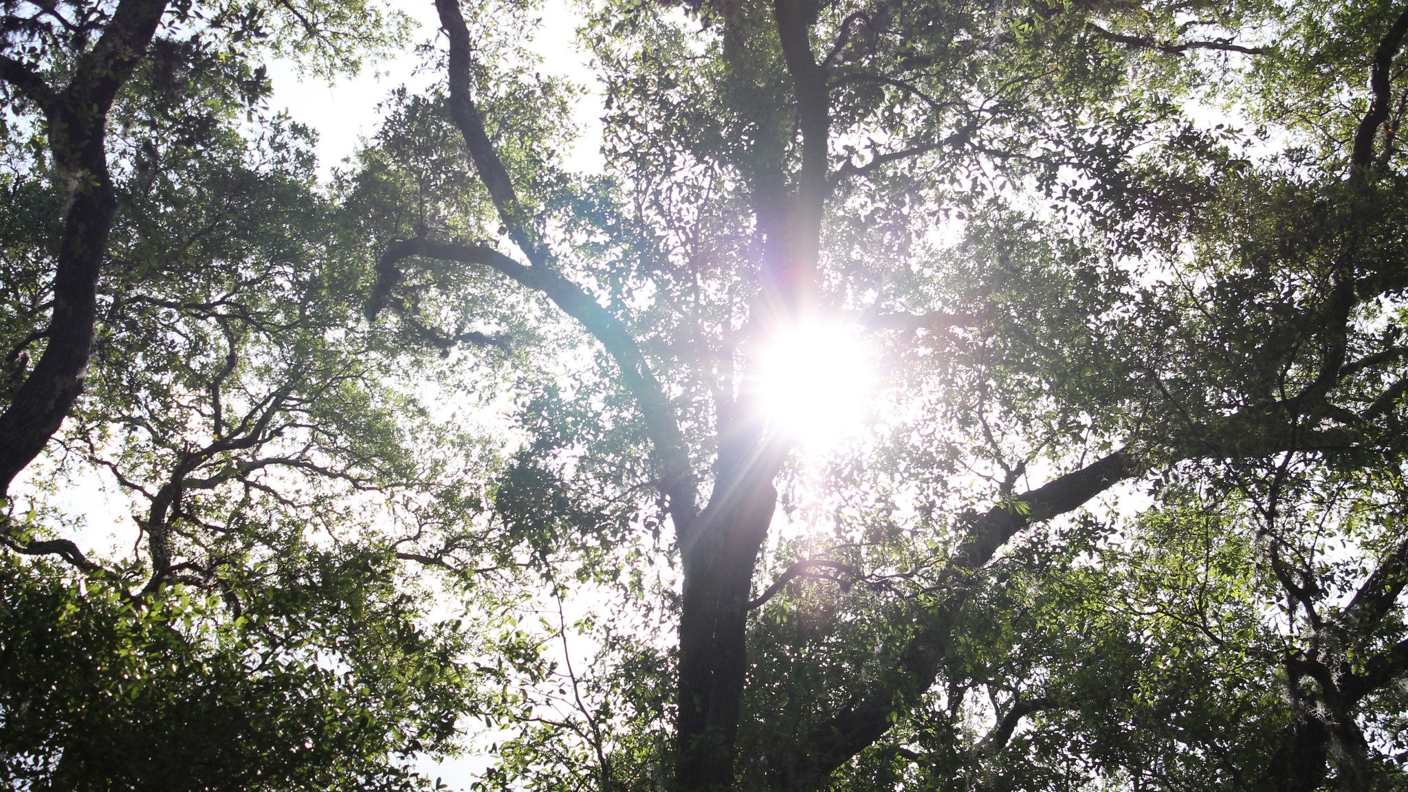 Our Field Trip to Jacksonville Arboretum & Gardens