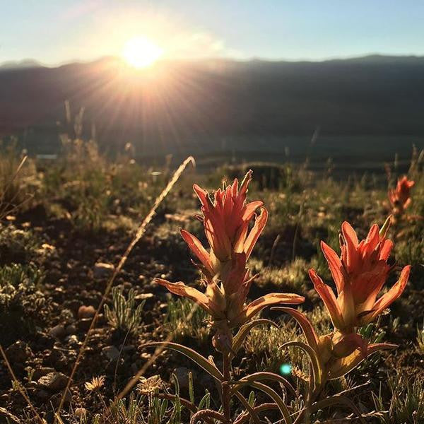 How to Handle Holiday Stress by Rachel from Her Song