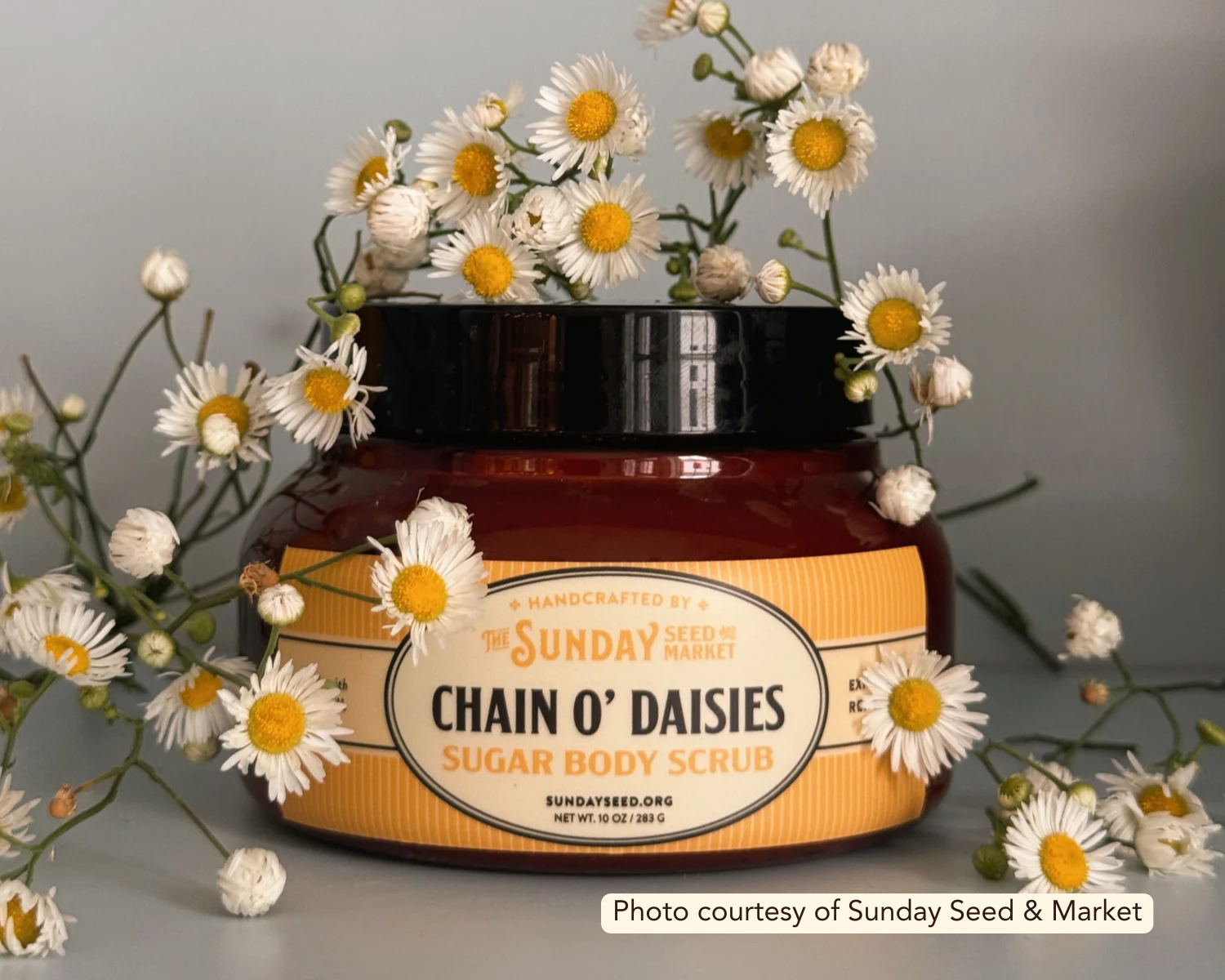 Chain O'Daisies Body Scrub