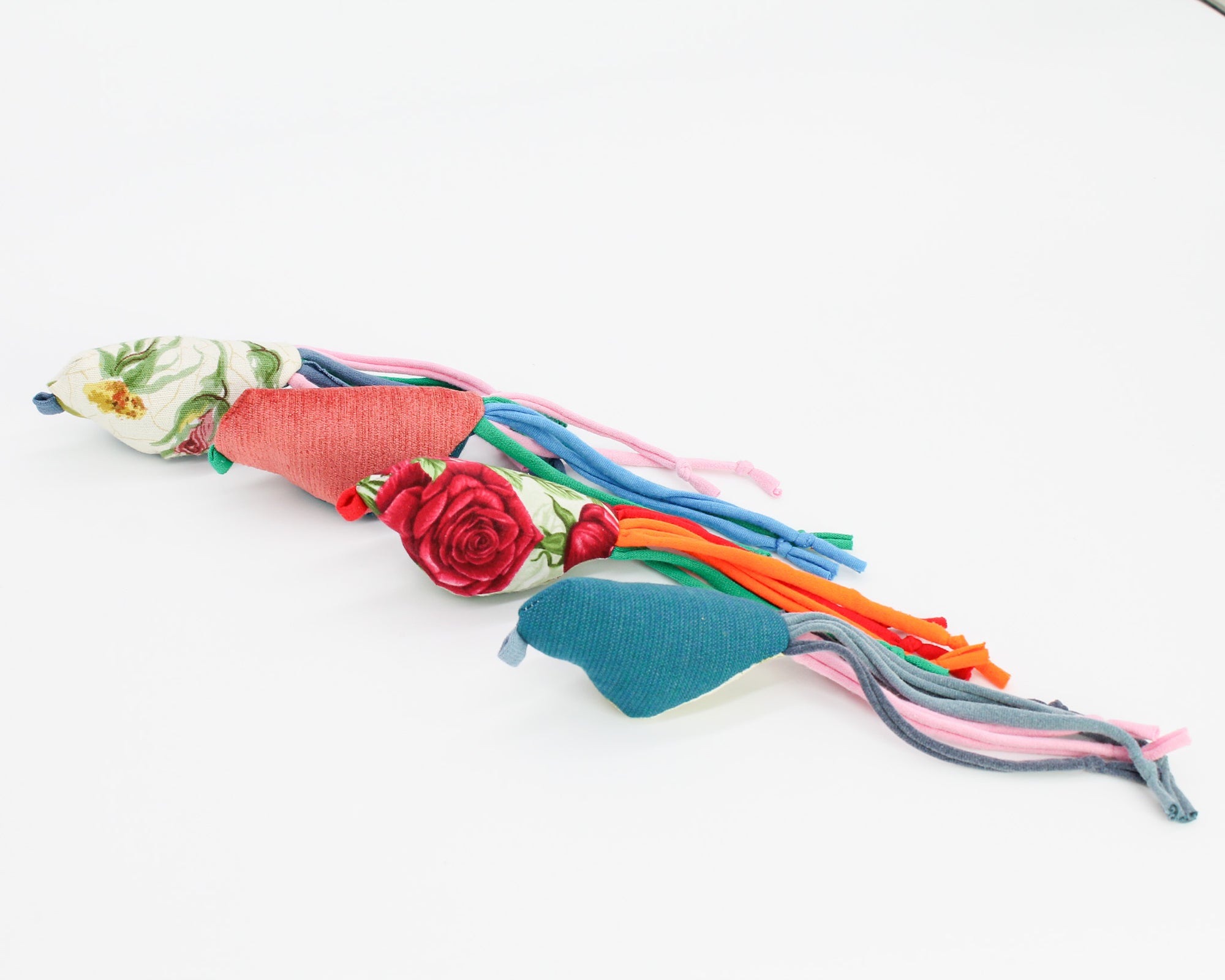 Cat's Best Friend / Bird