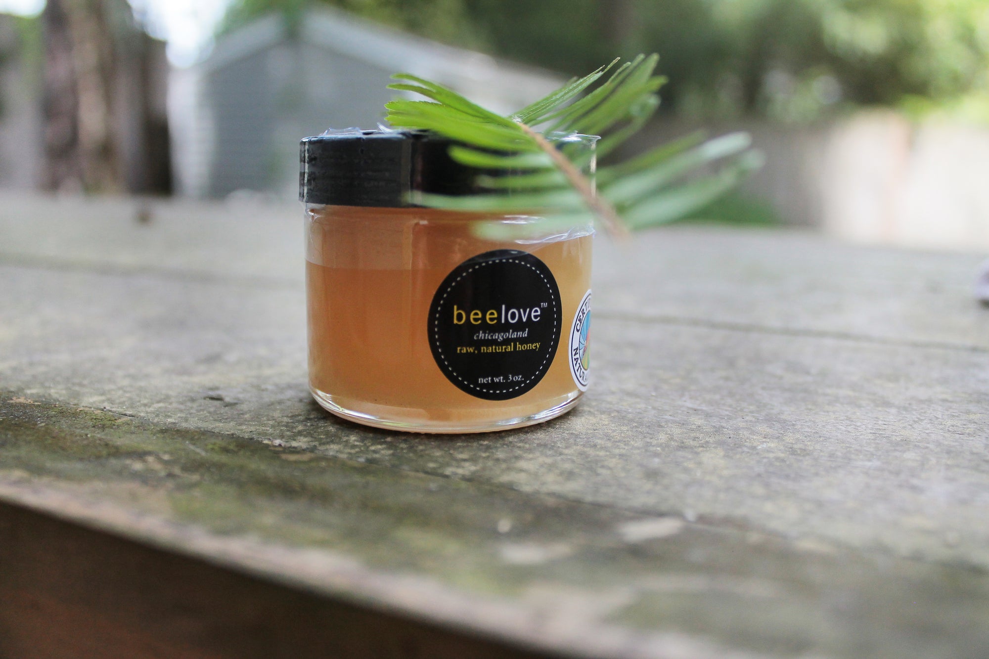 Chicagoland Raw Honey 3 oz