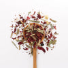 Loose Leaf Tea Berry Hibiscus