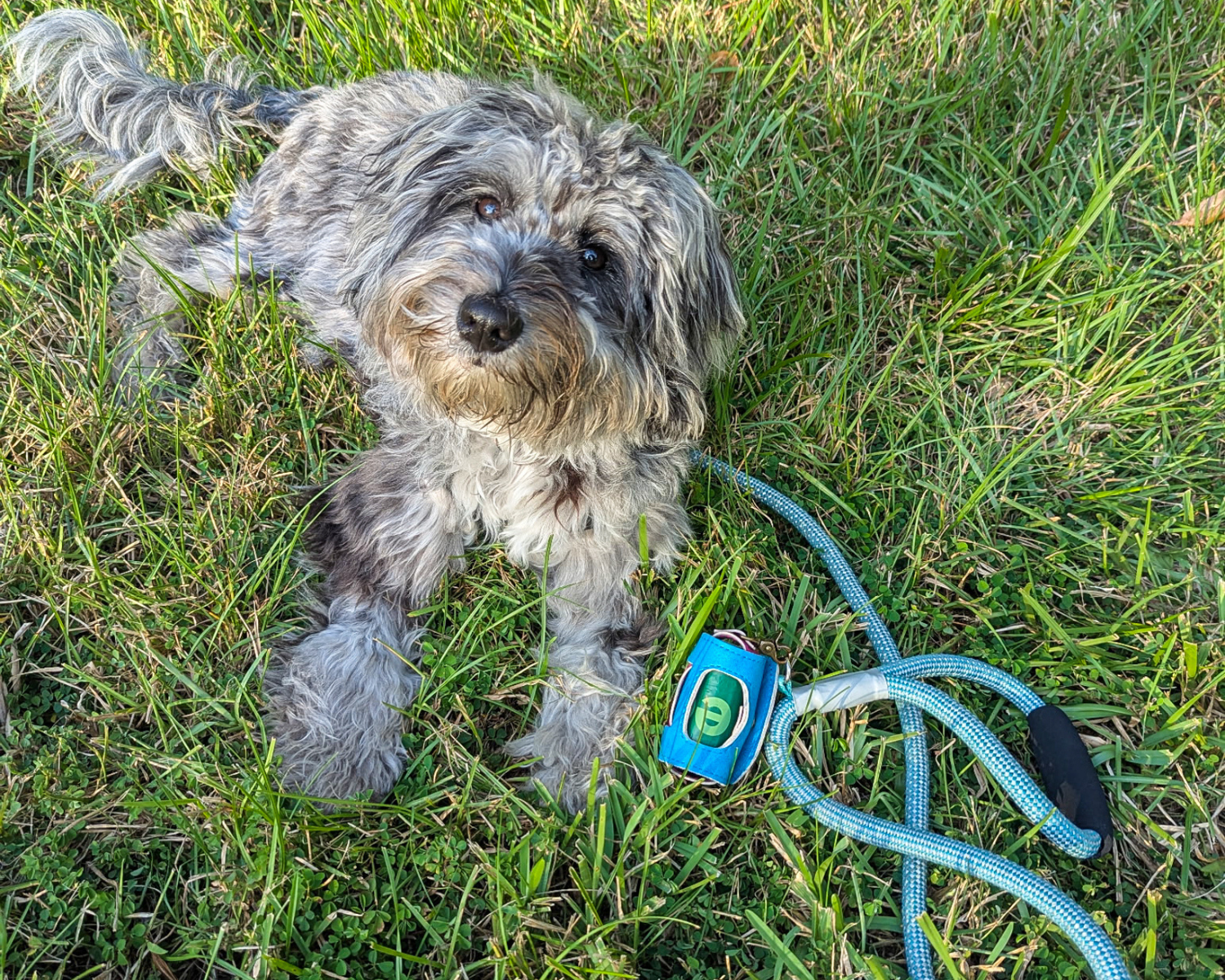 Leather Waste Bag Dispenser-Onyx