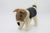 Hand Felted Toy / Large/ Terrier